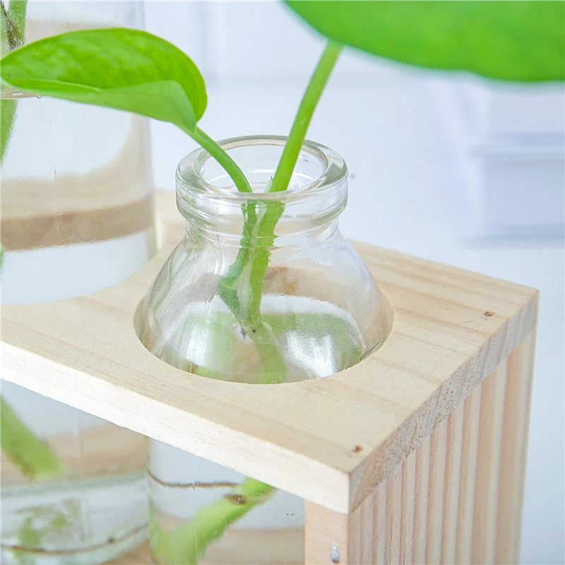 

Nordic Style Creative Hydroponic Vase Ornaments Home Decor Modern Living Room Flower Glass Container Shooting Props
