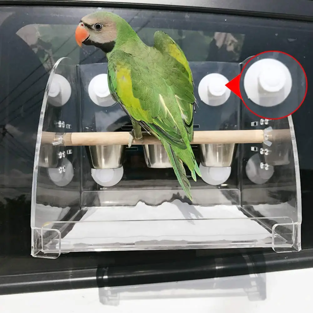 

Bird Dishes Bowls Holder with Suckers Parrot Food Water Feeder Cups Acrylic Perches Play Stand Play gym