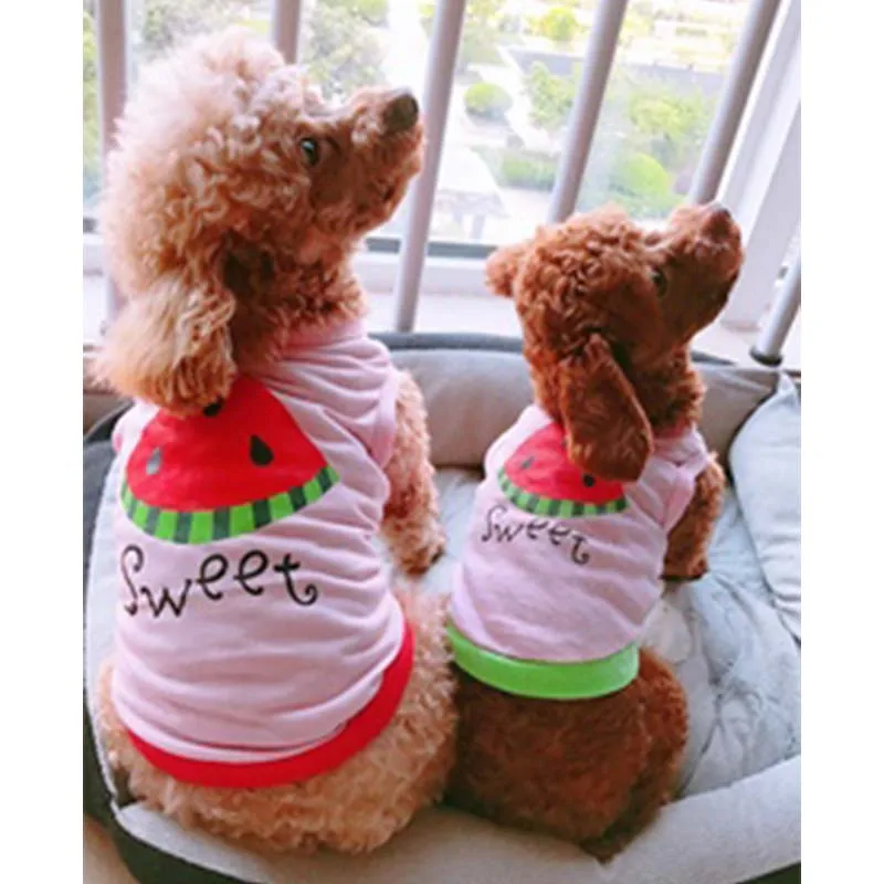 Летняя одежда для собак хлопковый жилет щенков чихуахуа маленького и среднего