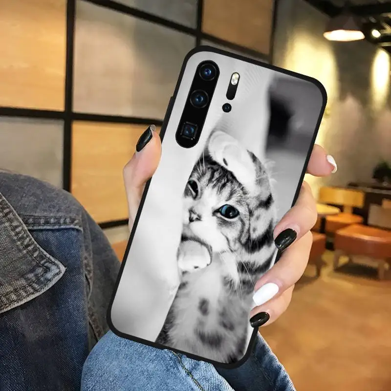 

Cute Animal Cat Phone Case Funda For Huawei P9 P10 P20 P30 Lite 2016 2017 2019 plus pro P smart