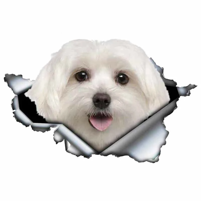 

Fashionable Cute Maltese Dog Car Sticker PVC Body Exterior Accessories Refrigerator Laptop Decorate High Quality Auto Decal