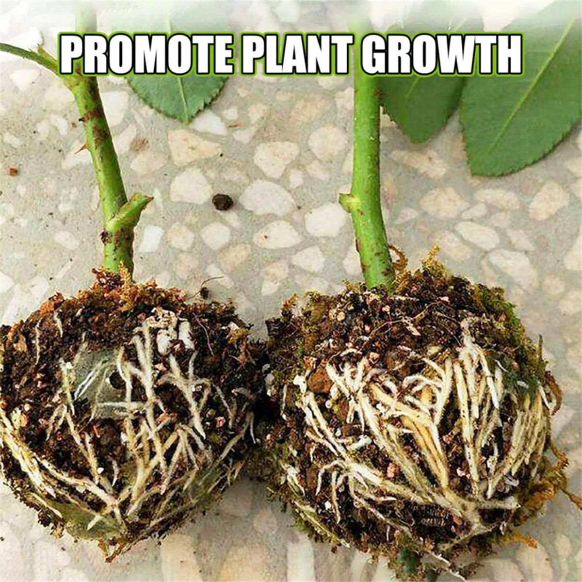 

10PCS Garden High-altitude Pressure Branch Plant Grafting Rooting Breeding Ball Grafting Box
