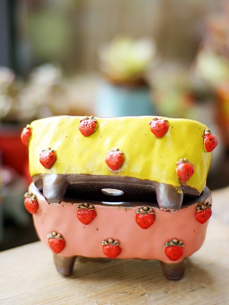 Прекрасная Клубничная грубая керамика многомясовое растение горшечный камень