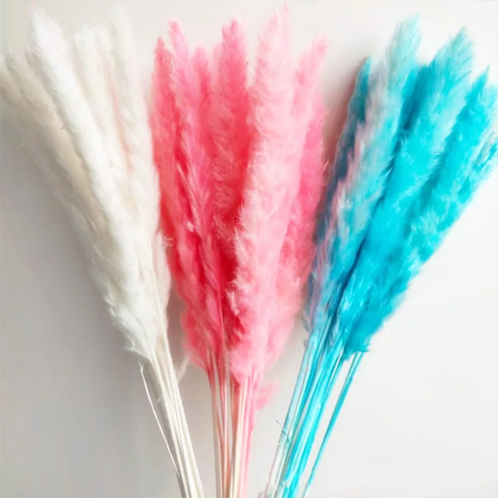 

15/50 шт. натуральные высушенные цветы, цветные нефрагмиты, Свадебная вечеринка, рукоделие «сделай сам», букет для скрапбукинга, украшение для...