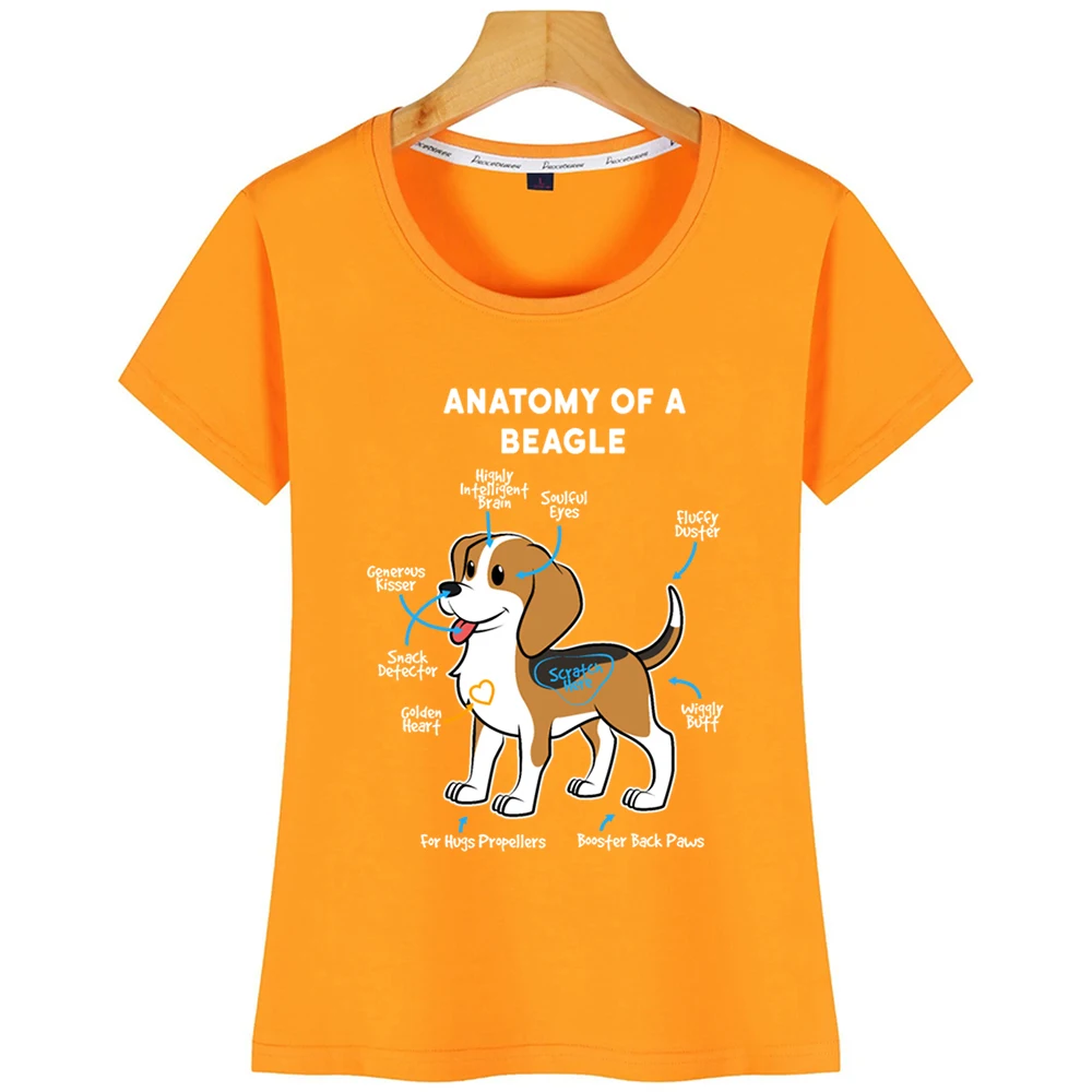 Женская футболка с надписью Собака Бигль | одежда