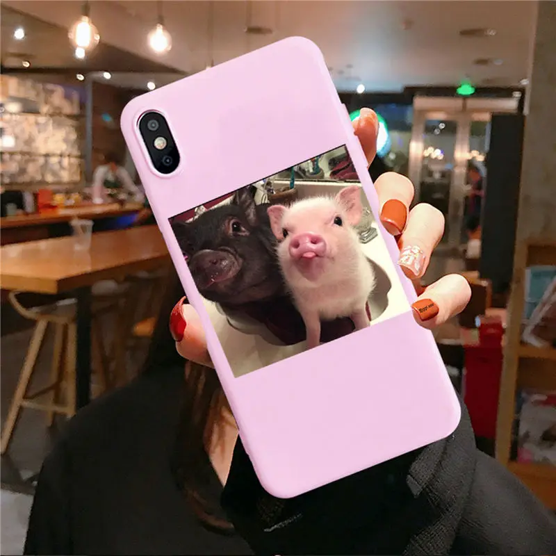 Pink TPU F3187 Забавный чехол для телефона с рисунком поросенка для iphone 11 Pro XS MaxX XR чехол для iphone 6 S 5 5S 7 8 plus Мягкий чехол милые Чехлы для пар - Цвет: Pink TPU F3187