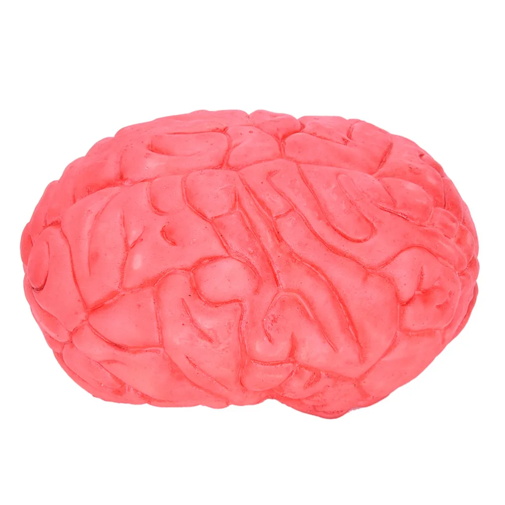

Prop Rubber Horror Fake Scary Human Brain Haunted House Organ Body Part Halloween Decoration Horror Prop Decor Gag Toys