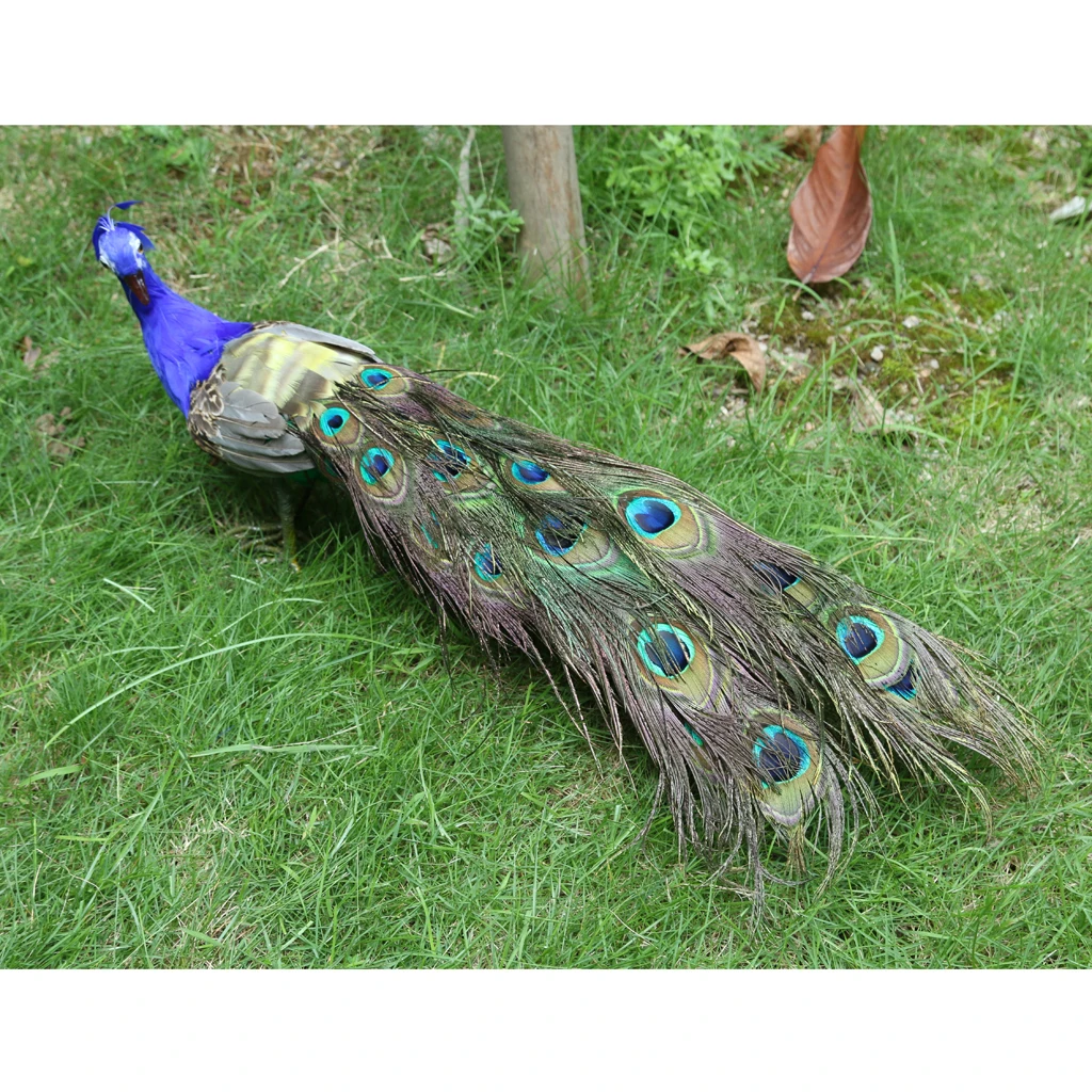 

Simulation Lifelike Artificial Feather Peacocks Gardens Decorative Ornament