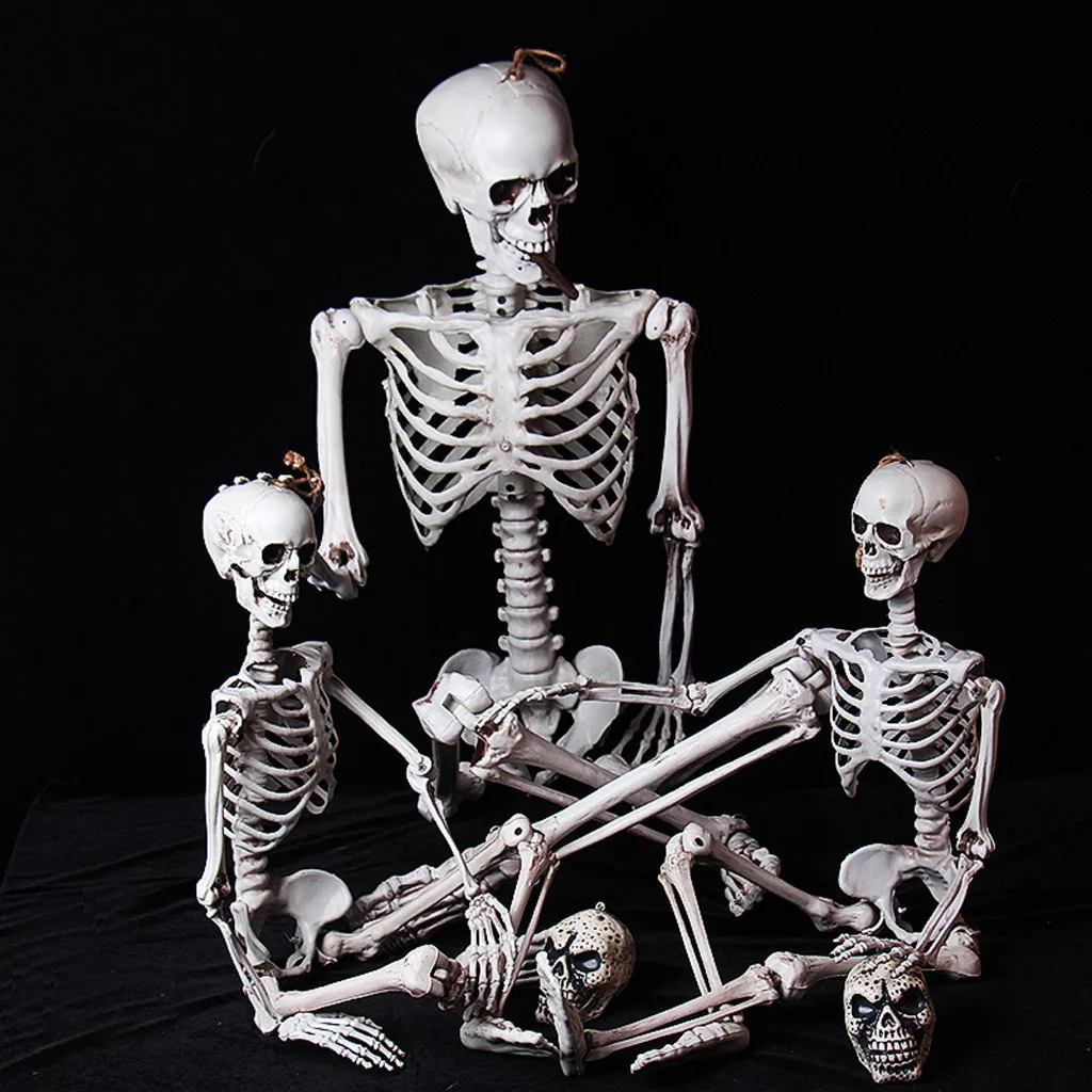 

Halloween Decorations For Home Creative Halloween Party Decoration Full Size Skeleton Anatomical K812