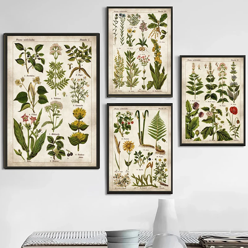 

Vintage Medicinal Plants Canvas Painting Old Drug Book Pages Posters And Prints For kitchen Wall Art Country Style Home Decor