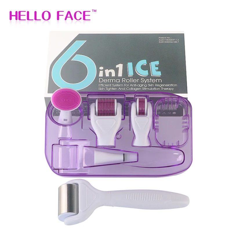 Ice Roller 6 In 1 Derma Roller Set Skin Dermaroller for Face Body Ice Roller Massager Home Use Facial Care Cosmetic Instrument