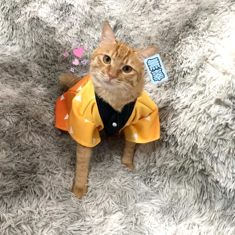 

Cartoon Demon Slayer Kimetsu No Yaiba Fashion Pet Cat Costume Summer Cat Cozy Cape for Cats Katten Kedi Disfraz Para Gato