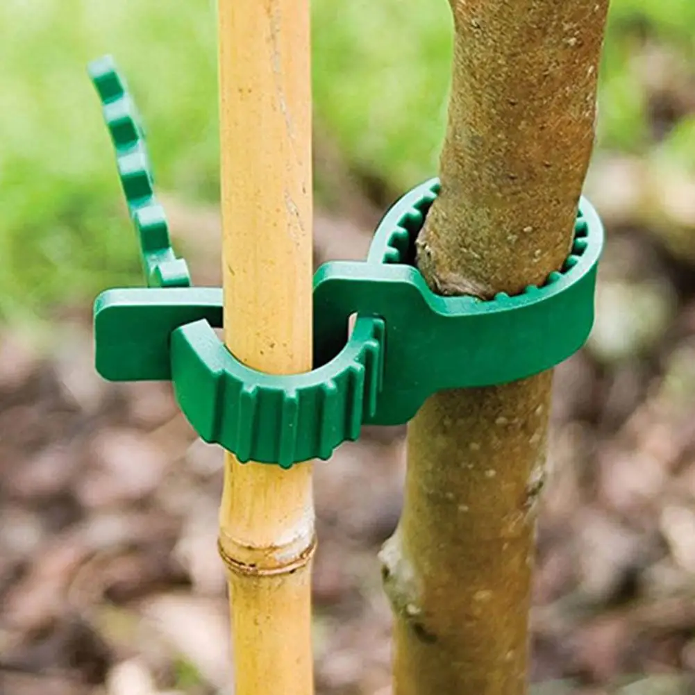 Plastic 10Pcs Durable Climbing Plants Tree Ties Portable Fixing Buckle Labor-saving for Shrubs | Дом и сад