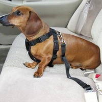 upgraded dog seat belt dog car seatbelts adjustable pet seat belt for vehicle nylon pet safety seat belts elastic reflective