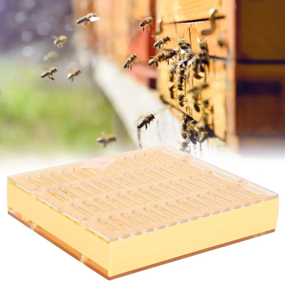 Bee King инкубатор свободно перемещать безвредные разведение коробка пчеловод