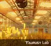 Изображение товара 5