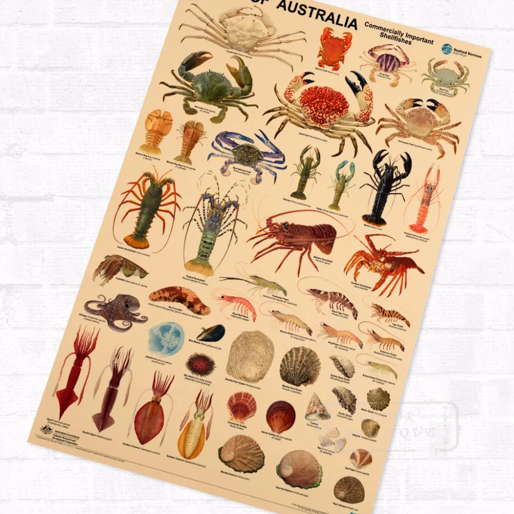 Рыб в австралийском стиле морской организм Винтаж ретро из крафт бумаги с