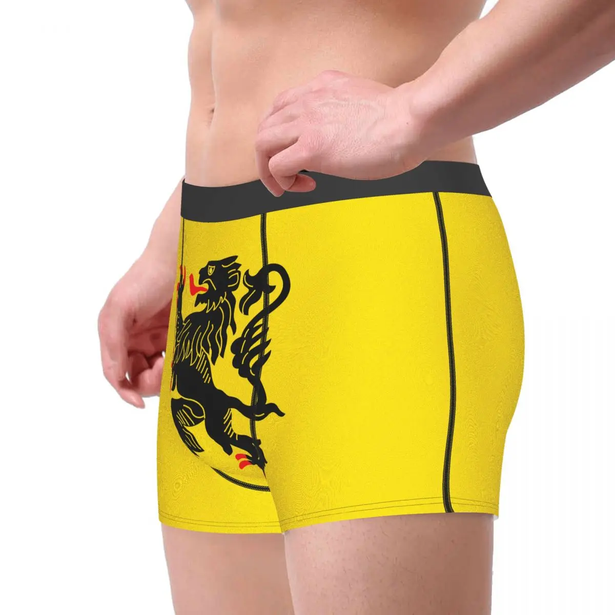 Generic Flag Of Nord-Pas-de-Calais Men's Boxer Briefs Flags of the regions of France Casual Men's boxer leggings