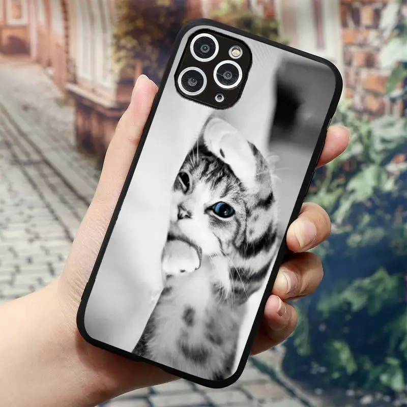 

Funny Kitten Cat Phone Case for iPhone 11 12 mini pro XS MAX 8 7 6 6S Plus X 5S SE 2020 XR