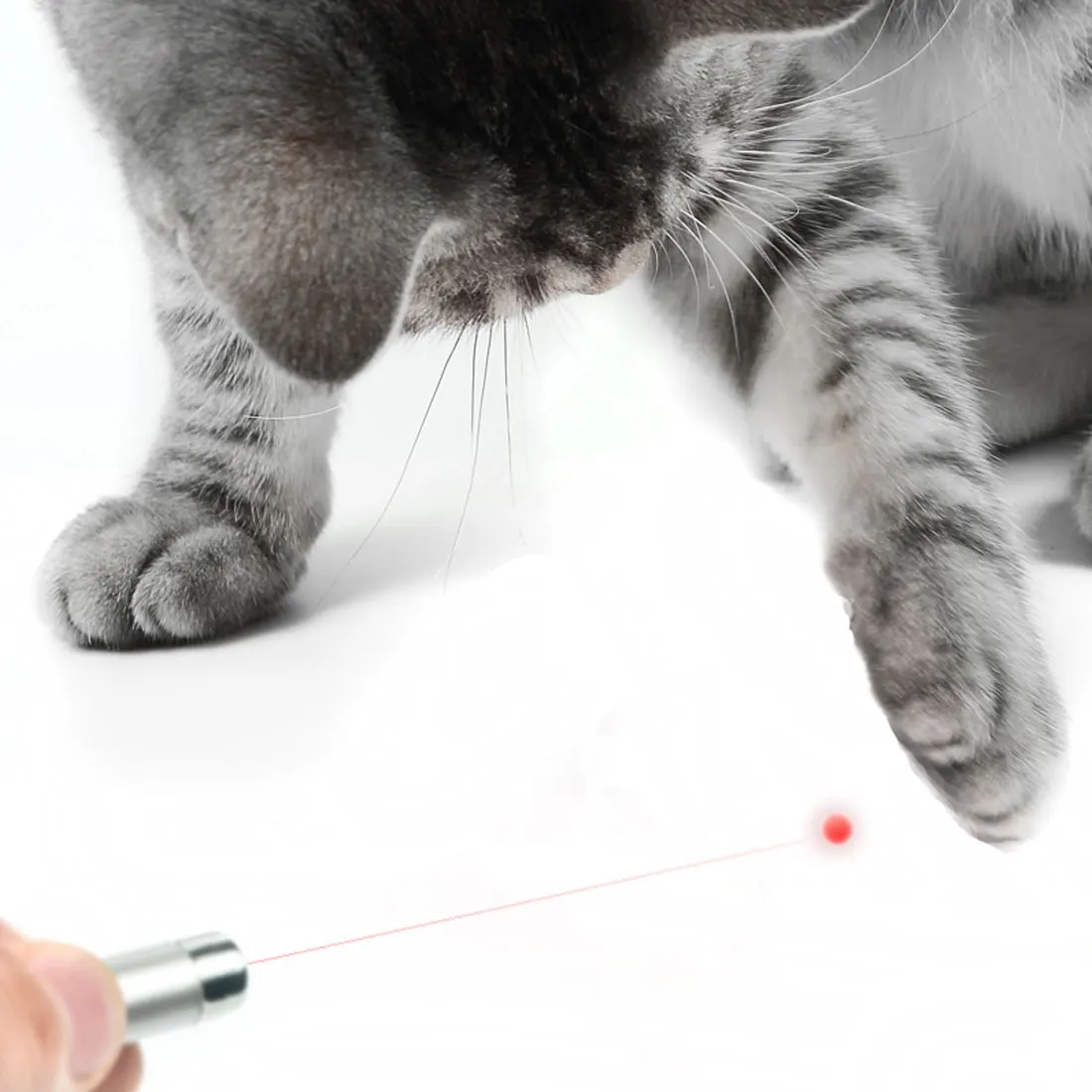 Забавный Светодиодный лазер для животных игрушка кошек лазерная указка