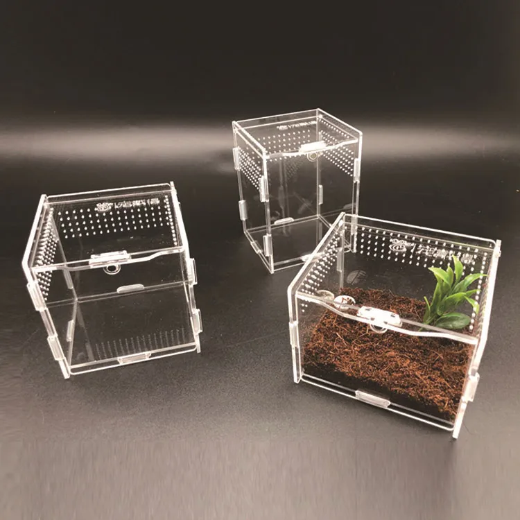 

Reptile Breeding Box Acrylic Transparent Spider Lizard Scorpion Enti's Acrylic Assembled Insect Breathable Terrarium
