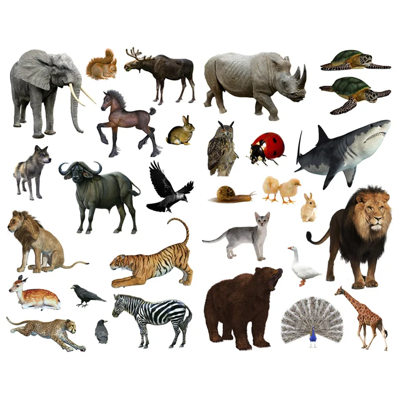 

Набор стикеров Seasonstorm Акварельные птицы