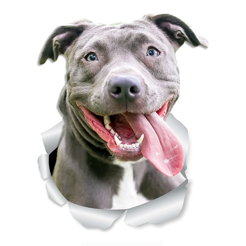 

Водонепроницаемая виниловая наклейка в виде бульдога, 13 см