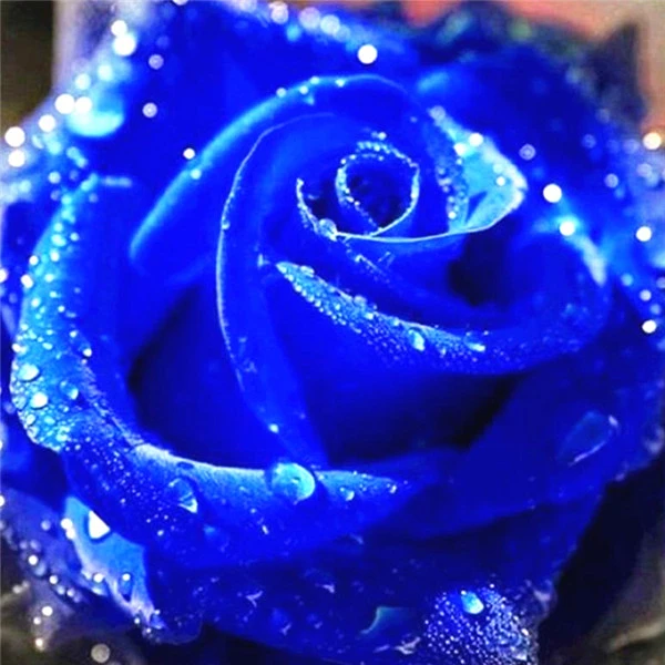 flower 4042 AZQSD Алмазная Вышивка Цветы ручная работа алмазная картина Роза картина Стразы Алмазная мозаика домашний декор ремесла подарок - Цвет: flower 4042