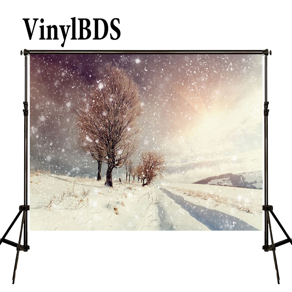 Виниловые фоны для фотосъемки зима осень Снежинка пятна фон Пейзаж солнечный