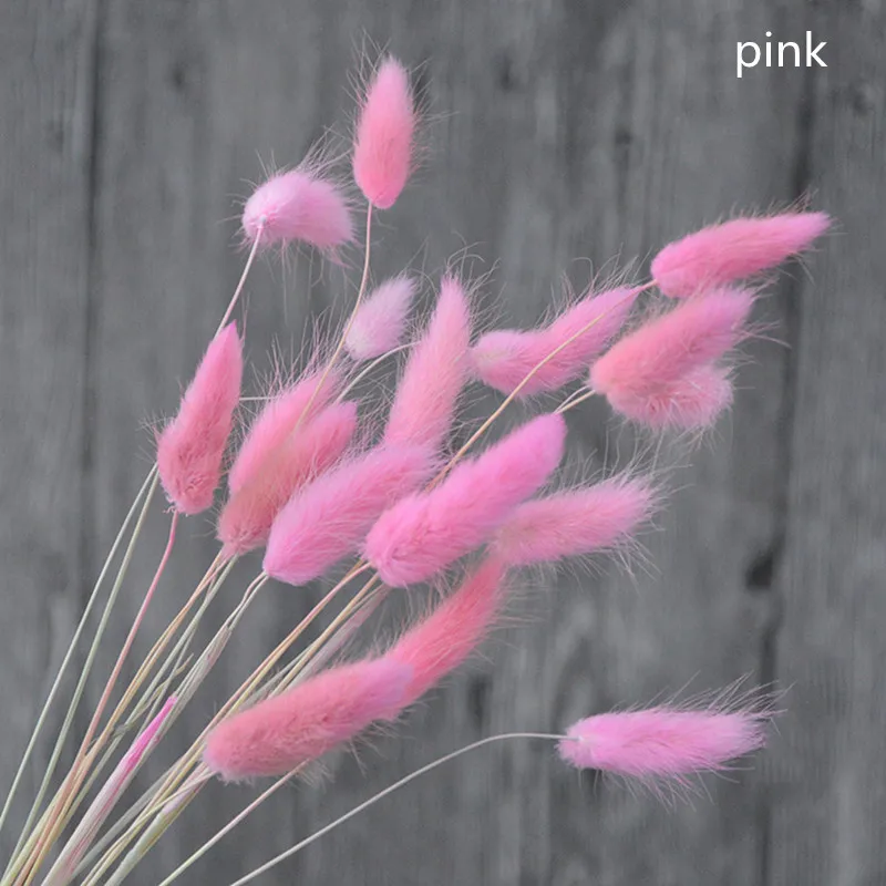 

20PCS Natural Dried Flowers Rabbit Tail Grass Reed Grass DIY Craft Party Background Office Home Decoration Wedding Supplies