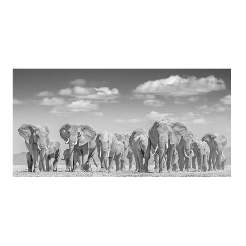 Современные постеры и печати с черными африканскими слонами на холсте, животные изображения для гостиной, декор Cuadros.