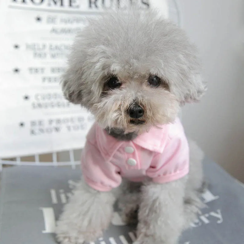 Рубашка-поло для собак ярких цветов одежда домашних животных маленьких и средних