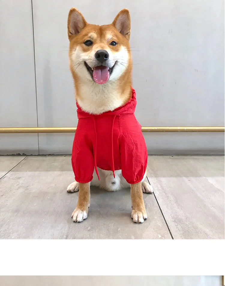Мода perro ropa mascota lluvia abrigo al aire libre sólido con capucha impermeable mascota perro cachorro chaqueta