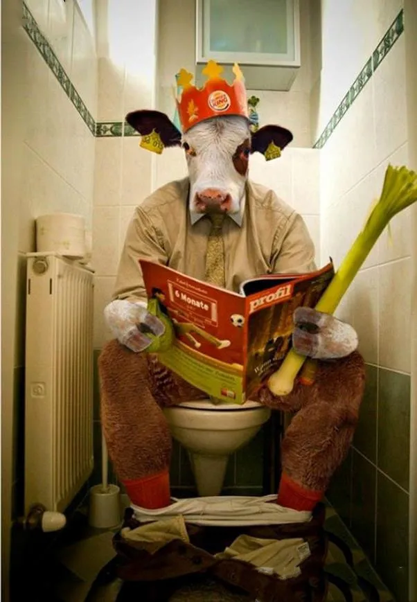 Алмазная 5D живопись сделай сам картина с полными квадратными/круглыми стразами