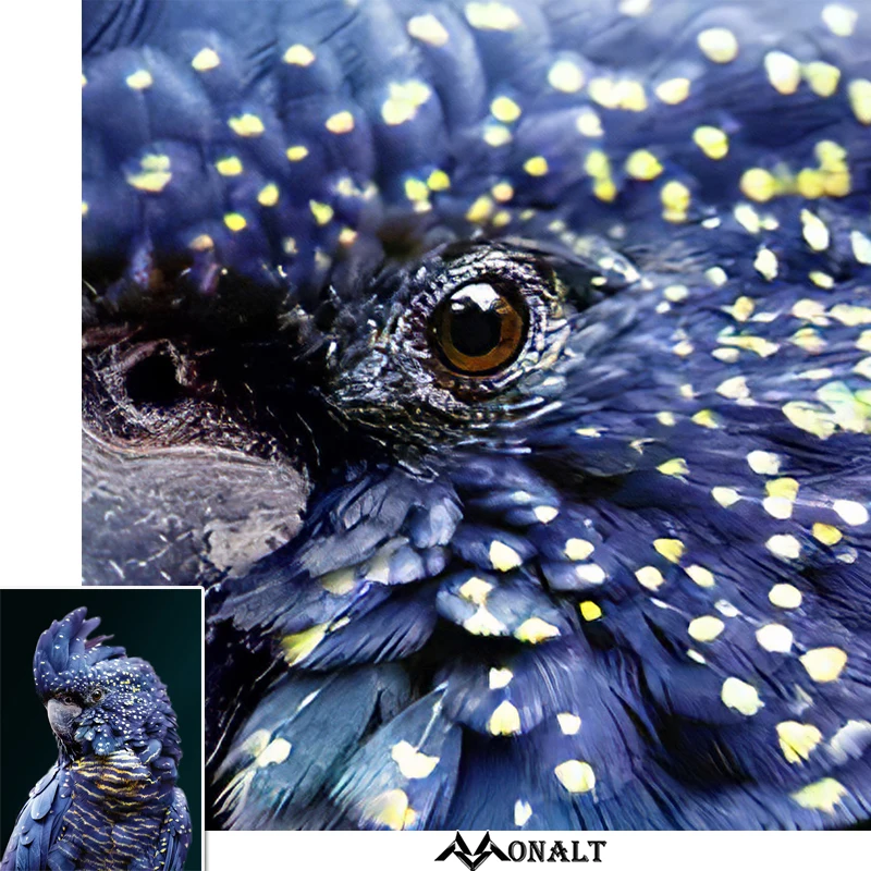 Холст Картина синий попугай Гостиная постер животного фотография картина