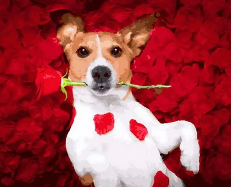 

Dog holding a rose animal oil picture coloring by number oil paints painting by number acrylic paint wall decoration