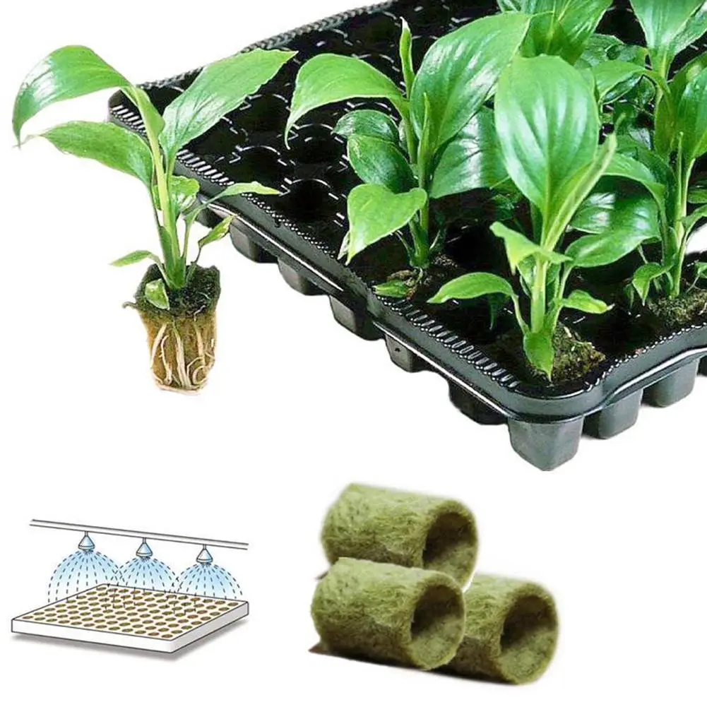50 шт grow plug a pack Grodan " Starter Cubes plugs-hydroponic rockwool grow media. Распространение клонирования из минеральной ваты кубики