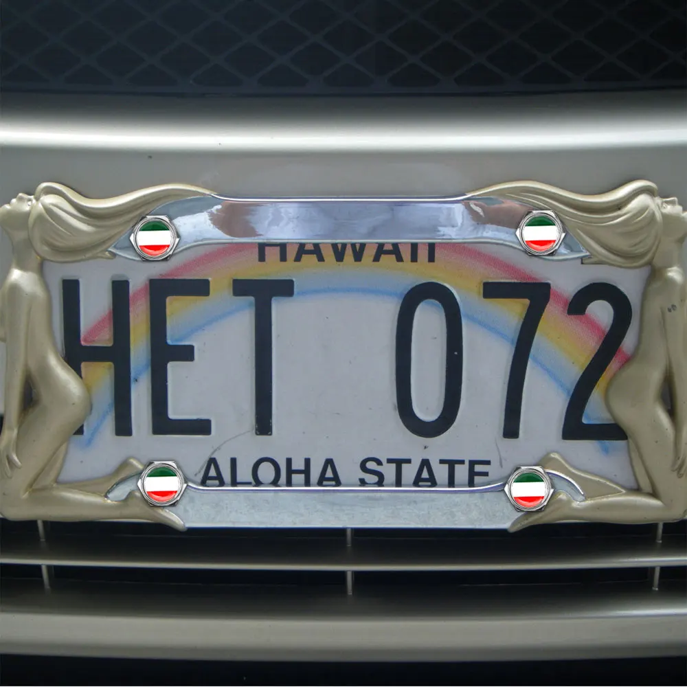 DSYCAR 1 набор с лазерной гравировкой итальянский флаг Кремниевая поверхность