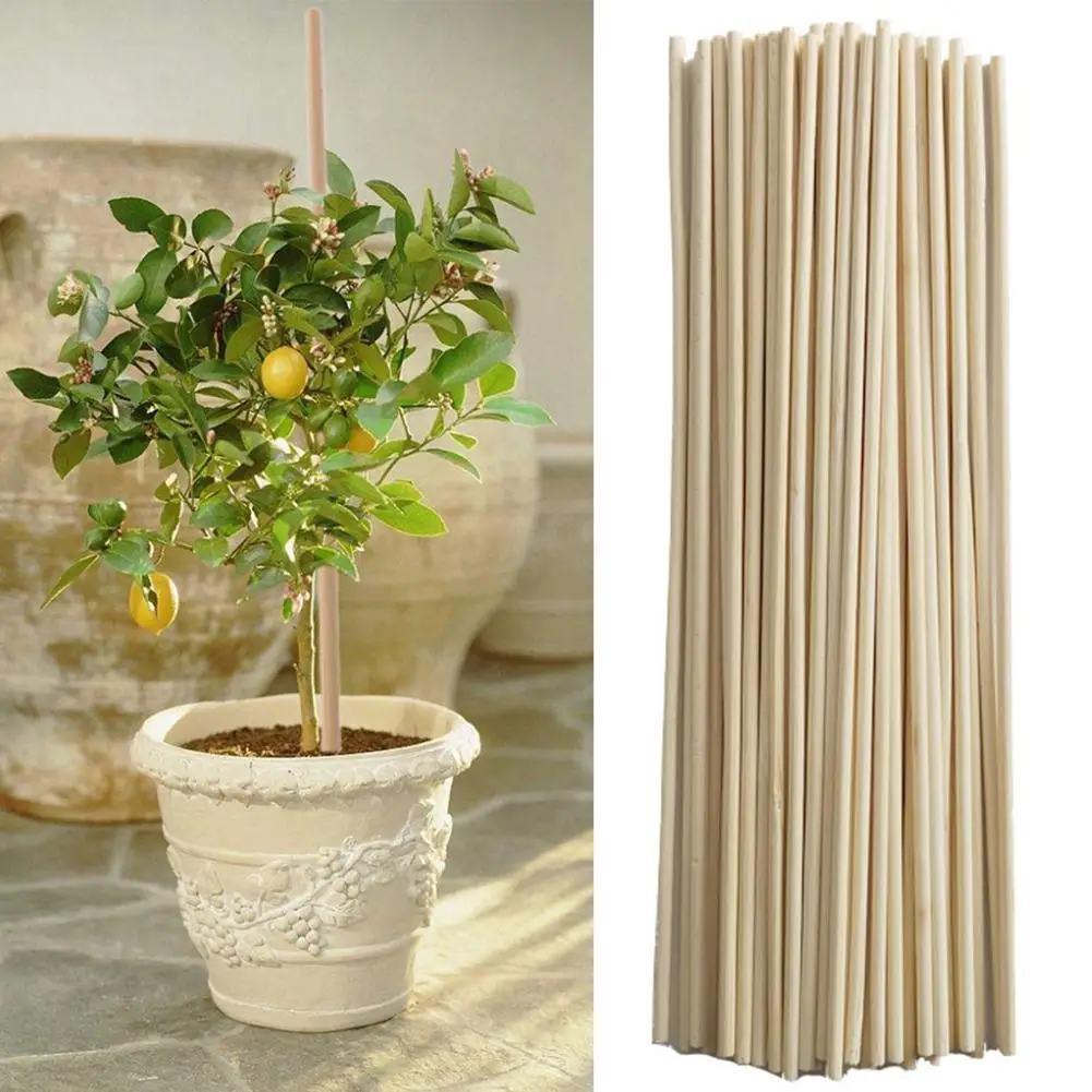 50Pcs Bamboo Plant Grow Support Sticks Garden Potted Flower Canes Rod Tools