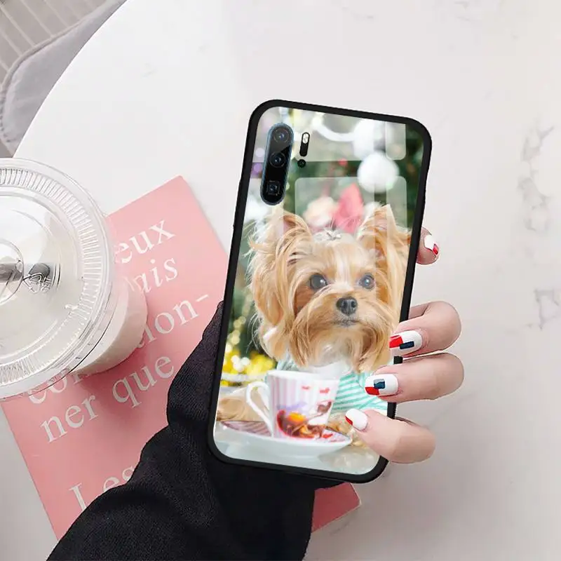 

yorkshire terrier dog Phone Case Tempered glass For Huawei Honor 7A 8X 9 10 v10 P30 20 9 10 Pro Plus Lite mate 10 20 pro