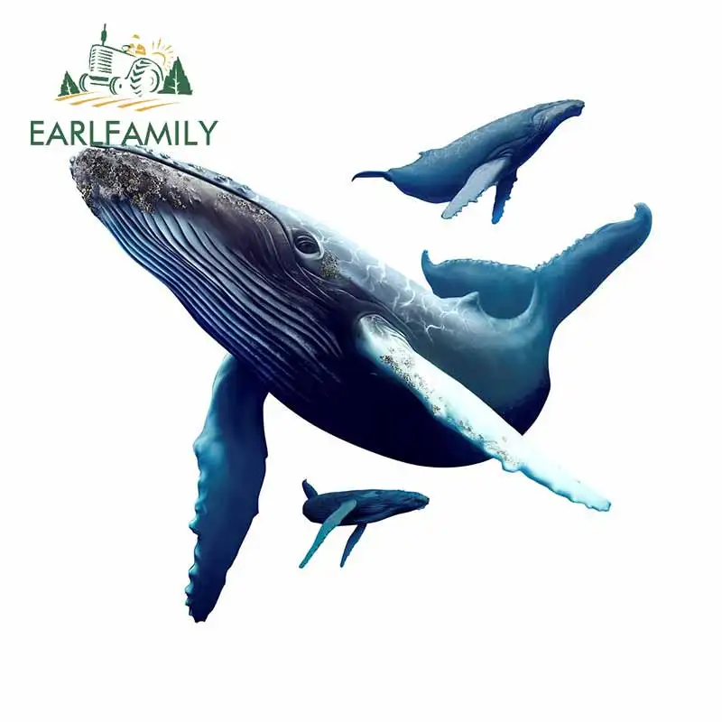 

EARLFAMILY 13 см x 11,7 см для киты для бамперов автомобиля Наклейка окна автомобиля наклейки на заказ из винила с распечаткой Материал для JDM внедор...