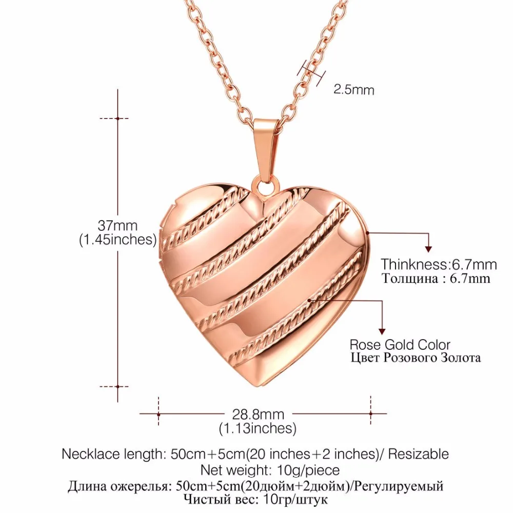 Ожерелье-медальон Collare P300 с фотографией из нержавеющей стали цвета розового