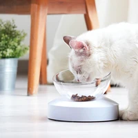 cat bowl adjustable and comfortable eating transparent cat food bowl pet feeding supplies