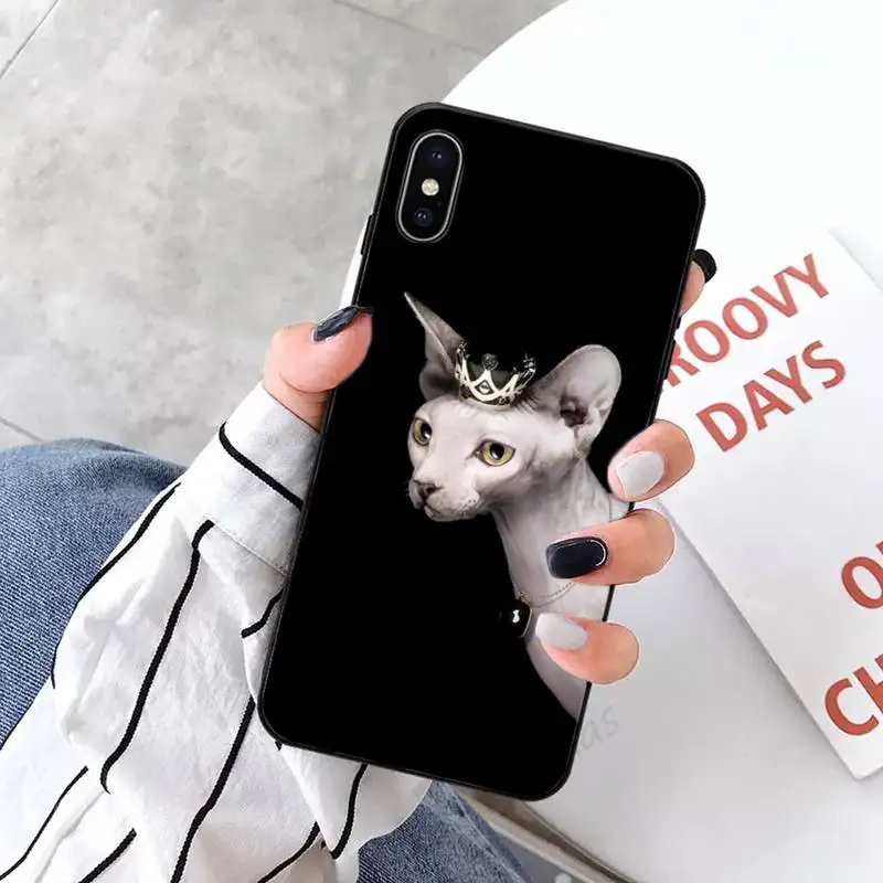 

sphynx cat Animal high quality shell luxury funda phone case for iPhone 11 12 pro XS MAX 8 7 6 6S Plus X 5S SE 2020 XR