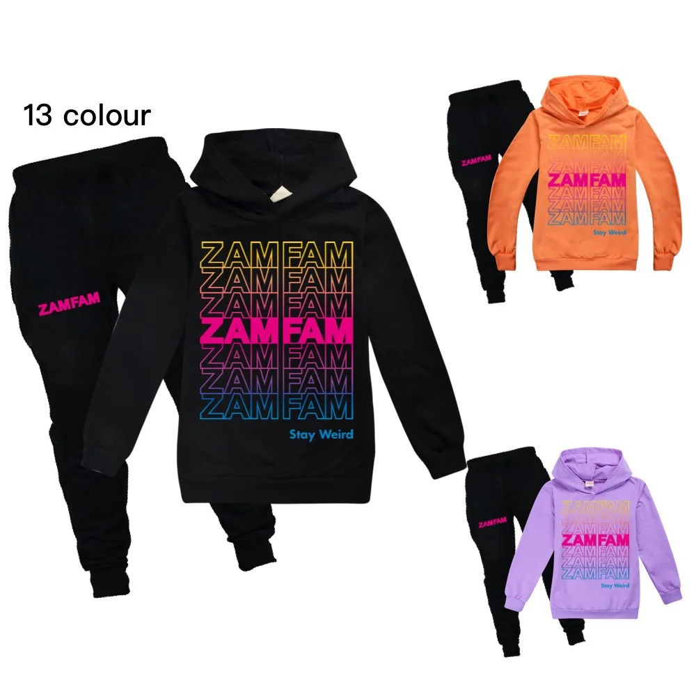 

New fashion ZAMFAMING hoodie kids sweatshirt kids hooded t-shirt baby toddler girl jacket children clothes boy casual sportswear