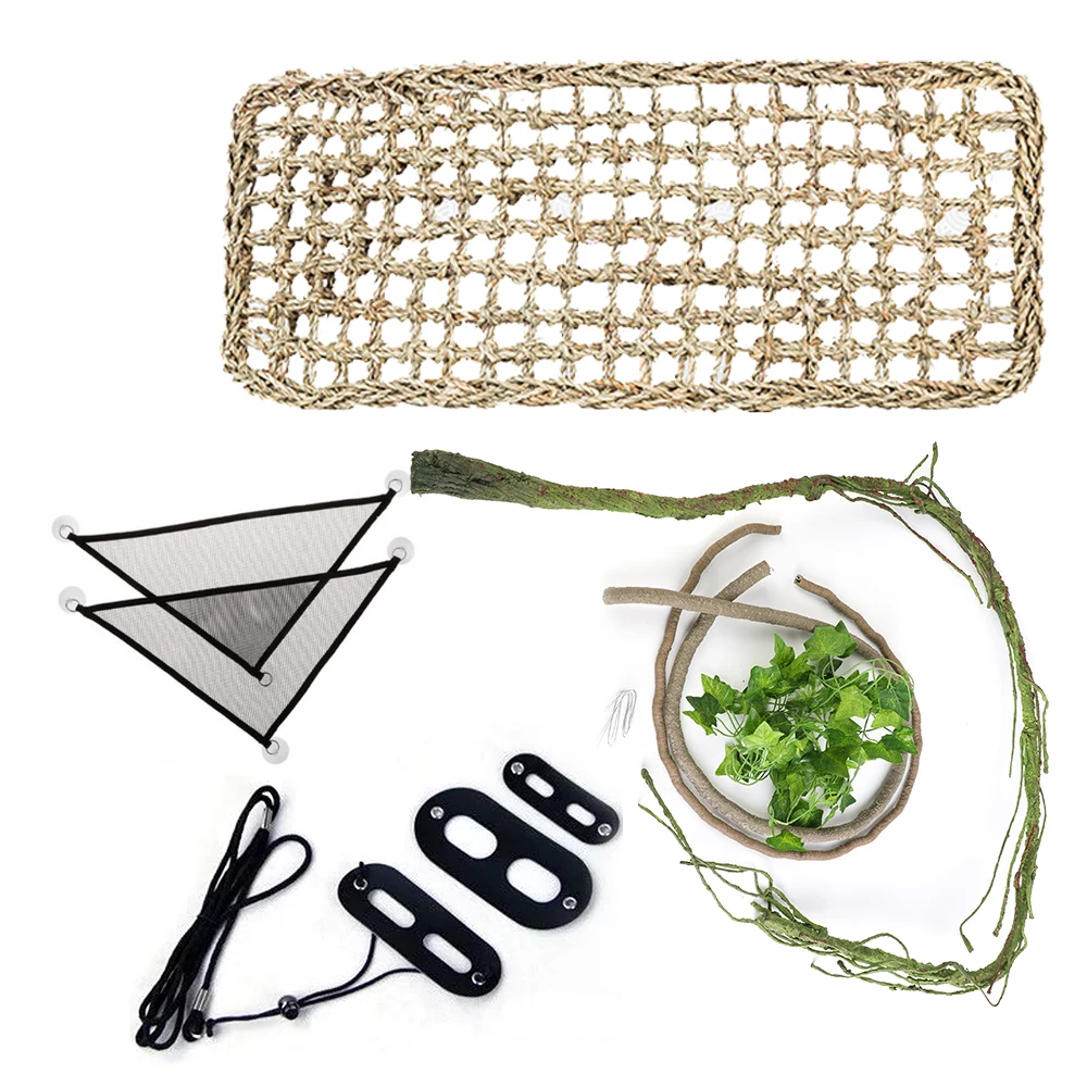 Ящерица рептилий жгут поводок ящерица аксессуары продукт маленький питомец