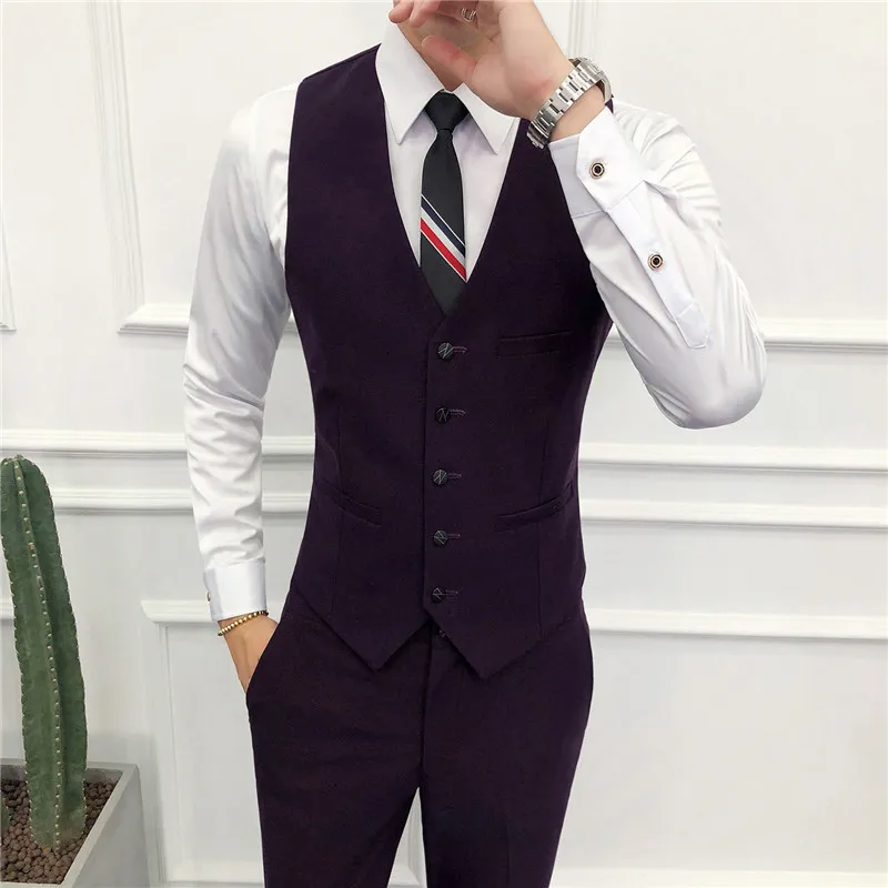 

( Vest + Pants ) Men's Business Professional Tooling Groom Wedding Dress Host Suit Vest and Pants Solid Color