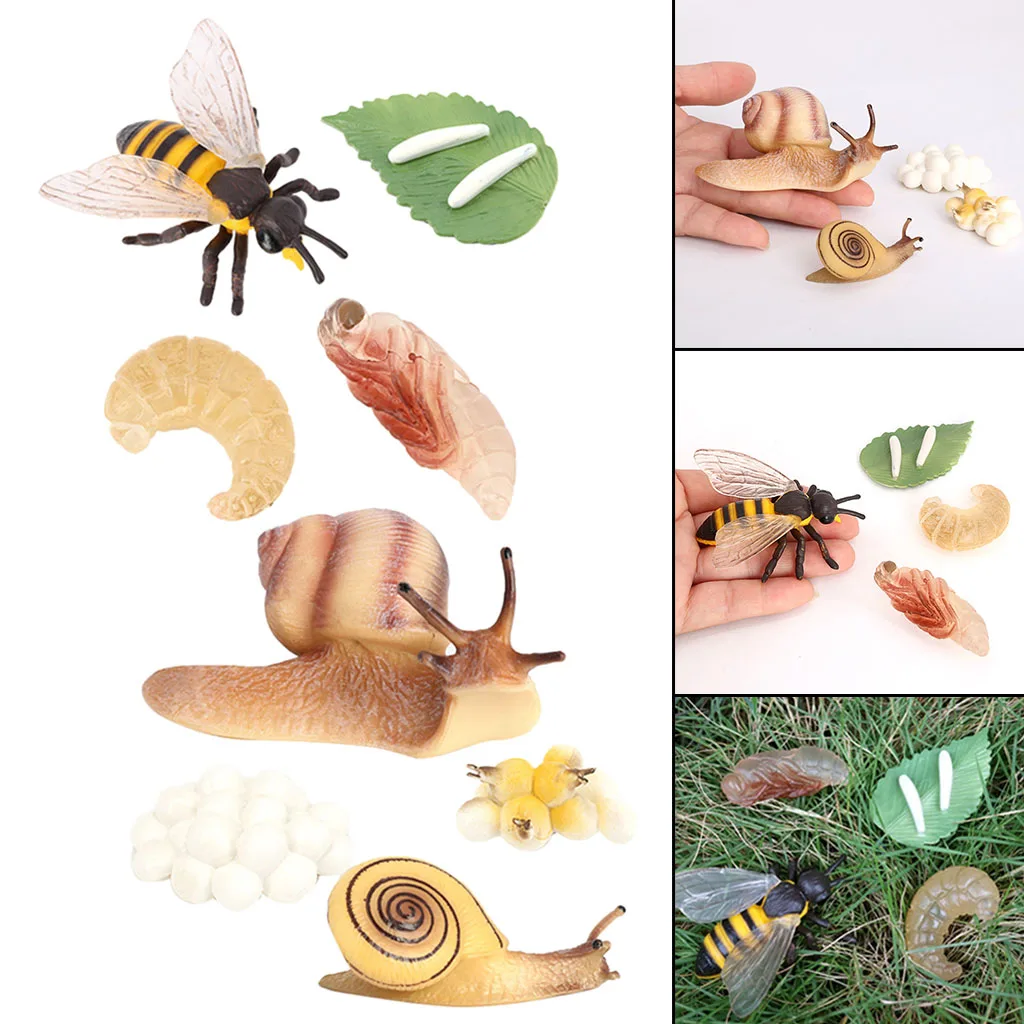 

Kids Simulation Animal Figures Toys Bee Snail Growth Process Playset Early Educational Toy for Children Nature Teaching Aids