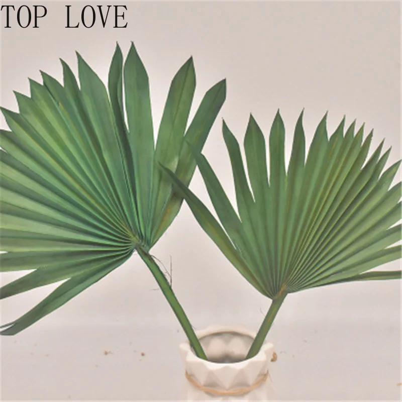 Сушеный цветок веер для пальмы листья растения Подсолнух украшение дома