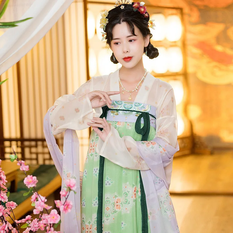 

China Embroidery #7 Restored Hanfu Women's One Piece Perforated Chest Tang Dynasty Spring/Summer Ancient Costume